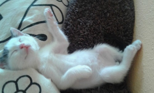 Rully 0.jpg Rully 0.jpg