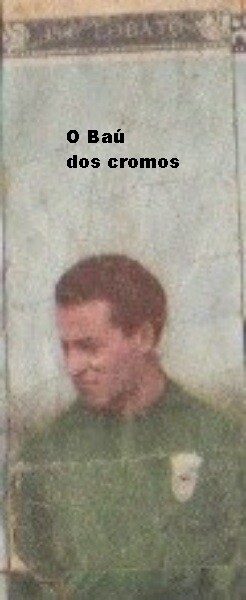 lobato-V. Guimarães.jpeg