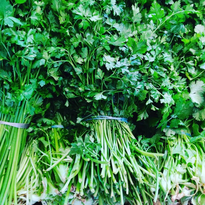 132443062_1906733396133079_4436657721937749880_o.j