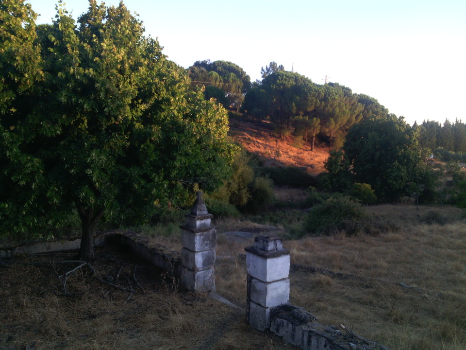 Foto Original. 2020. 07.jpg