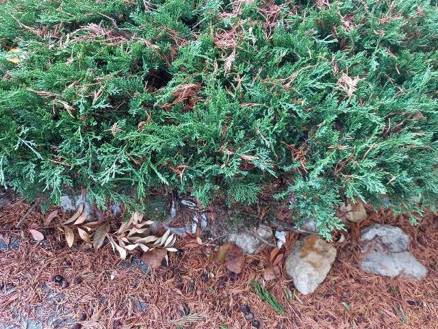 251403320_4397116520403619_153285055446766406_n.jp