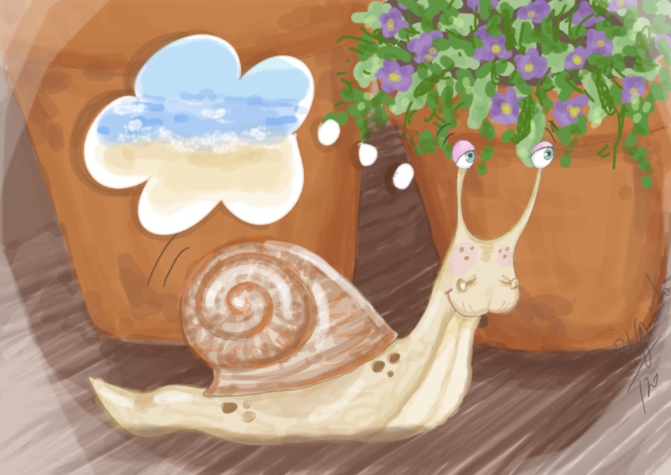 caracol caracolinho2.jpg