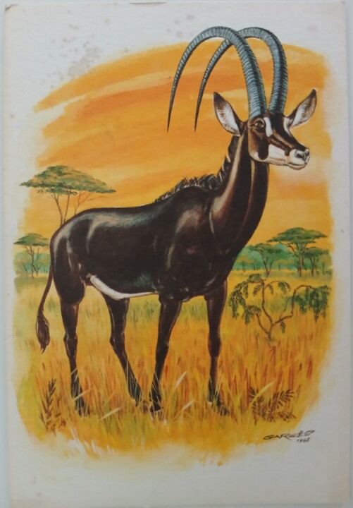 postal_palanca_negra_angola_Ed_liga_proteccao_natu