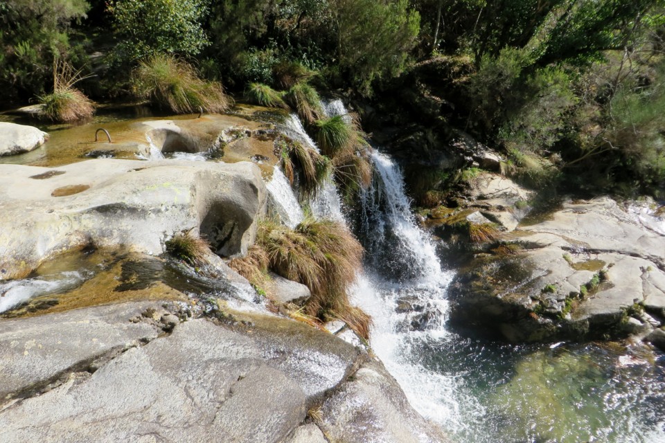 IMG_4756.JPG IMG_4756.JPG