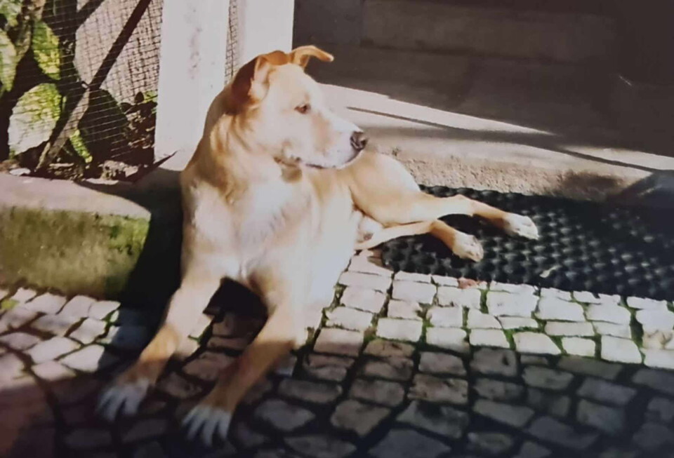 22046007_L3jbN (1).jpeg