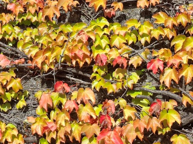 23e_Outonalidades (4).jpg