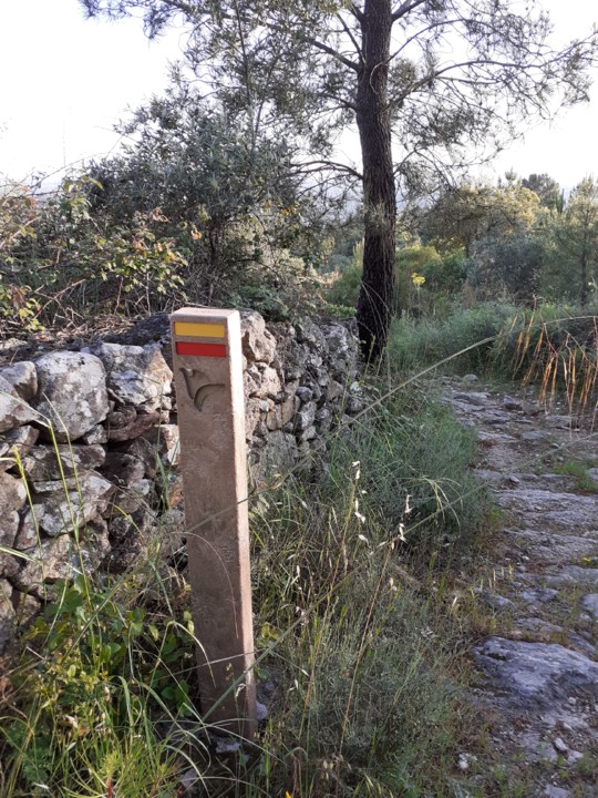 Caminho a seguir. Foto original. 2021.05.12.jpg