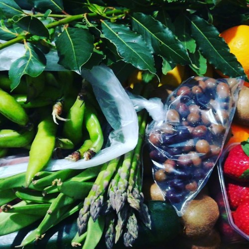 31064419_1083507035122390_7056023120187978706_n.jp