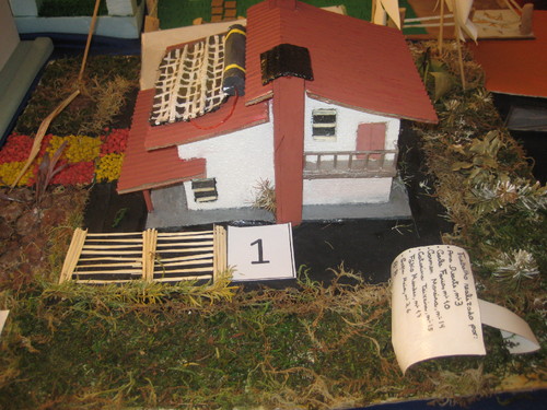 fotos 2º período 177.JPG