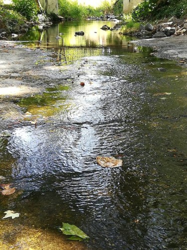 39257888_1184516598354766_2483339108315824128_n.jp