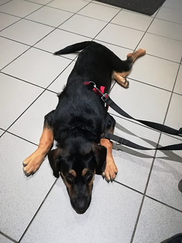 IMG_20180122_181915.jpg IMG_20180122_181915.jpg