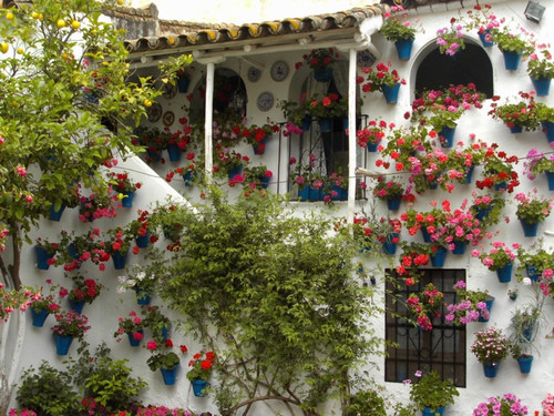 Espana-Cordoba-Ruta turistica.029.jpg Espana-Cordoba-Ruta turistica.029.jpg