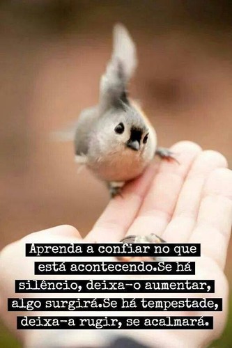 confiar.jpg confiar.jpg