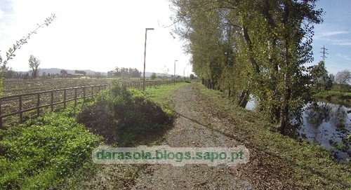 Margens rio Ave Trofa 12.JPG