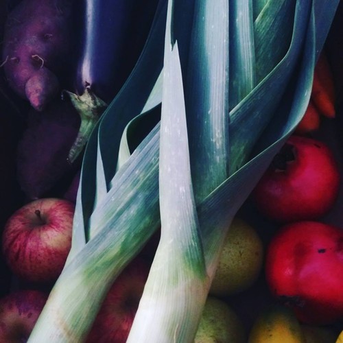 14517363_771768519629578_1932737606697436770_n.jpg 14517363_771768519629578_1932737606697436770_n.jpg