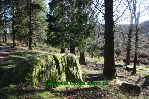 Biodiversidade_Freita_07.JPG Biodiversidade_Freita_07.JPG