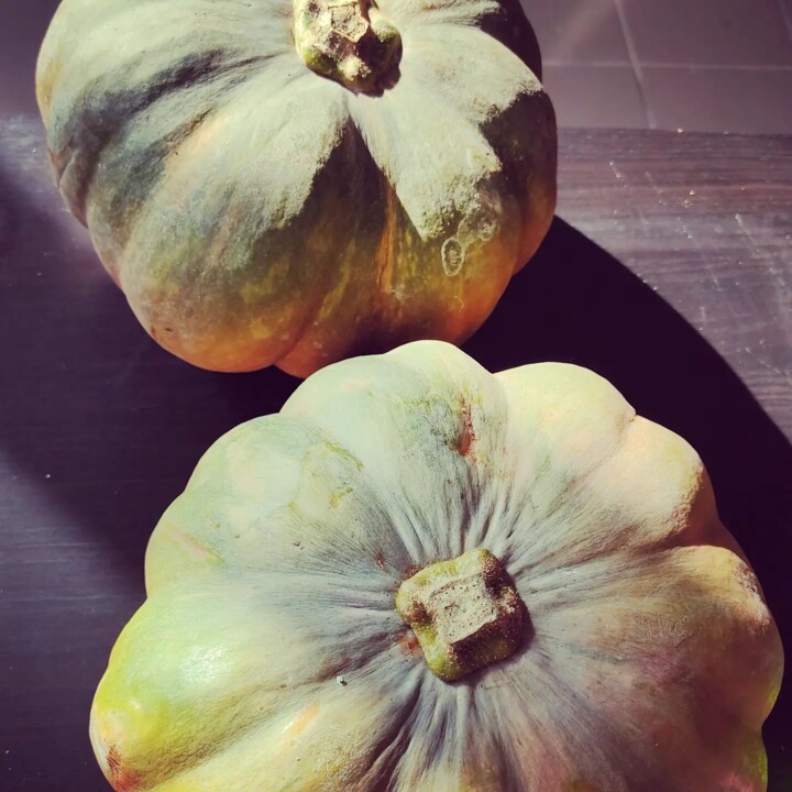 316077984_2470615073078239_2553832992213993467_n.j