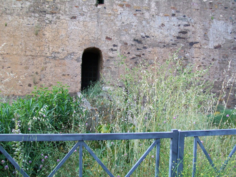 100_6353.JPG 100_6353.JPG