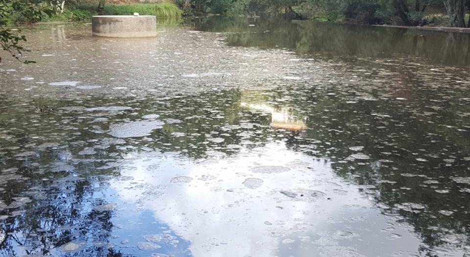 Captura de ecrã 2019-06-24, às 01.29.23.png Captura de ecrã 2019-06-24, às 01.29.23.png