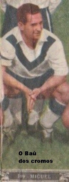 miguel-V. Guimarães.jpeg