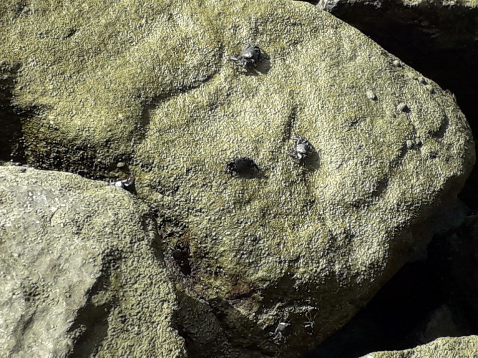 20190804_104725.jpg 20190804_104725.jpg