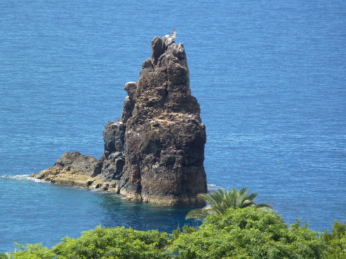 04 Ilhéu Gorgulho.JPG