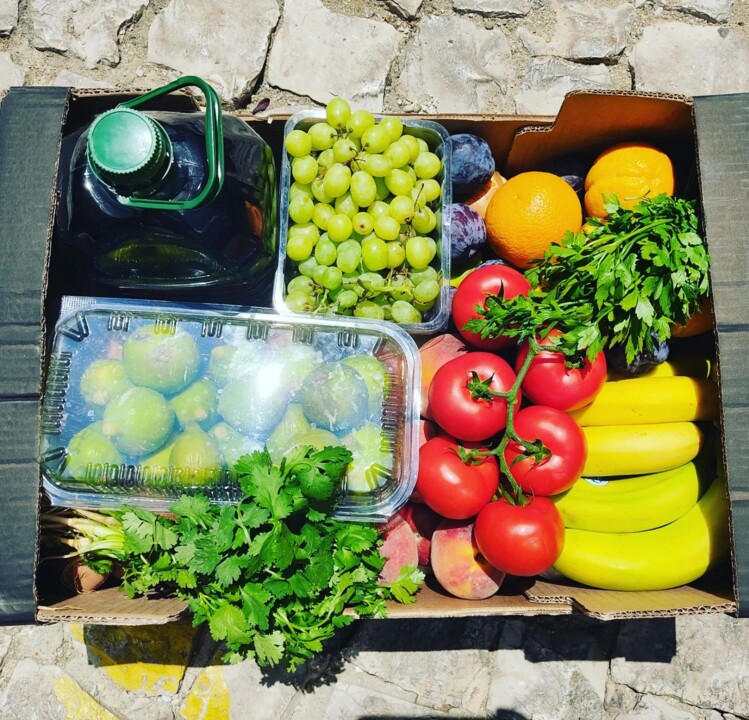 363372192_665426028948144_8836791995809659324_n.jp