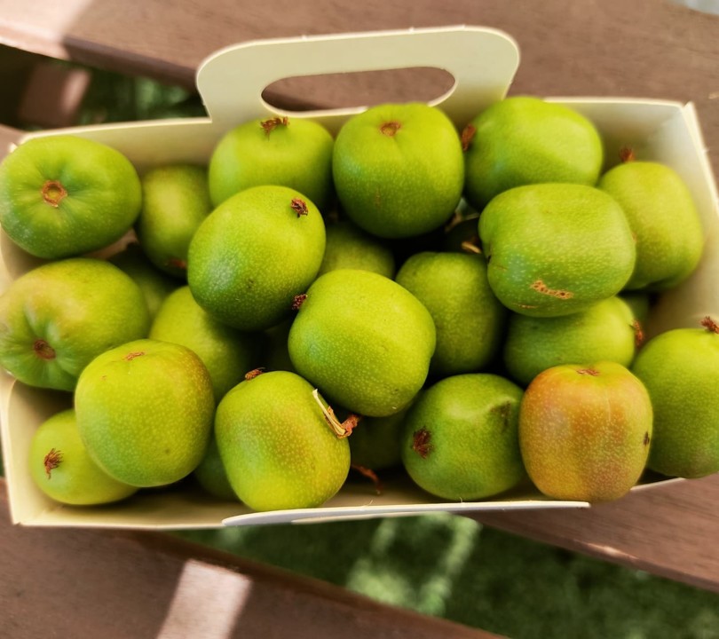 239363555_2096481297158287_1269260820508613031_n.j