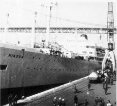 niassa.jpg niassa.jpg