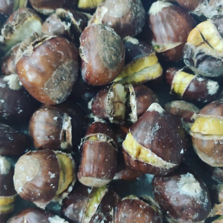 397413892_716144847209595_1096253551851331100_n.jp