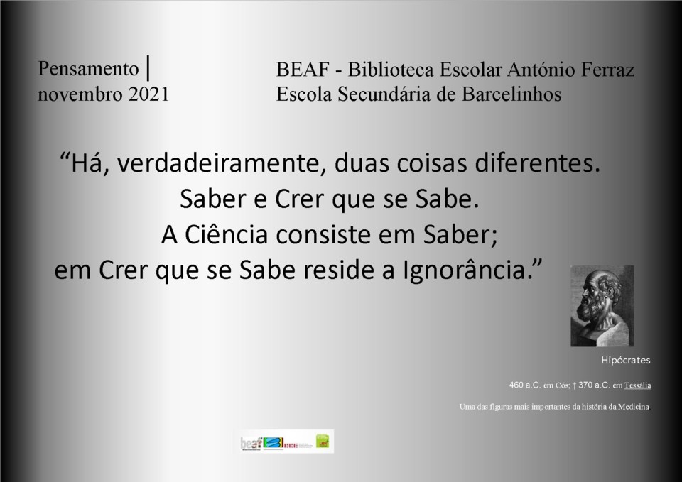 Pensamento novembro.jpg