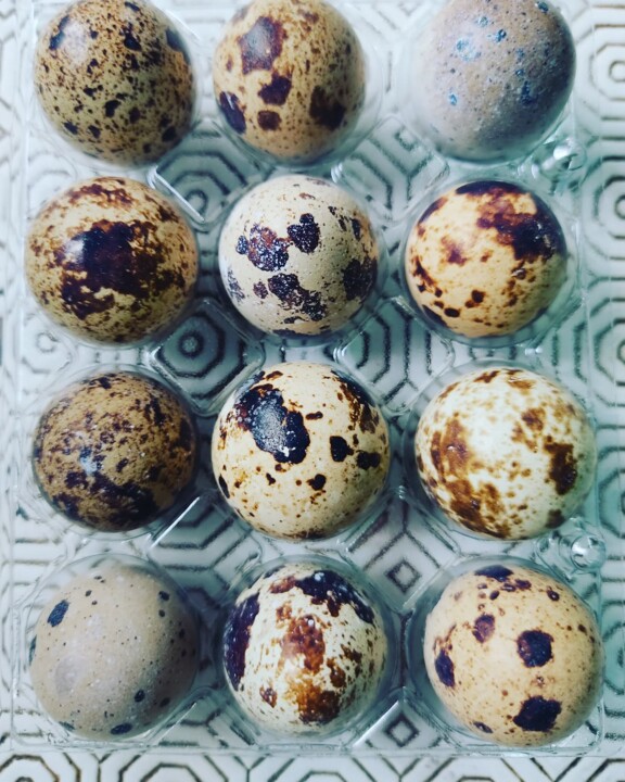 476366702_18460243750066958_7215742076600596995_n.