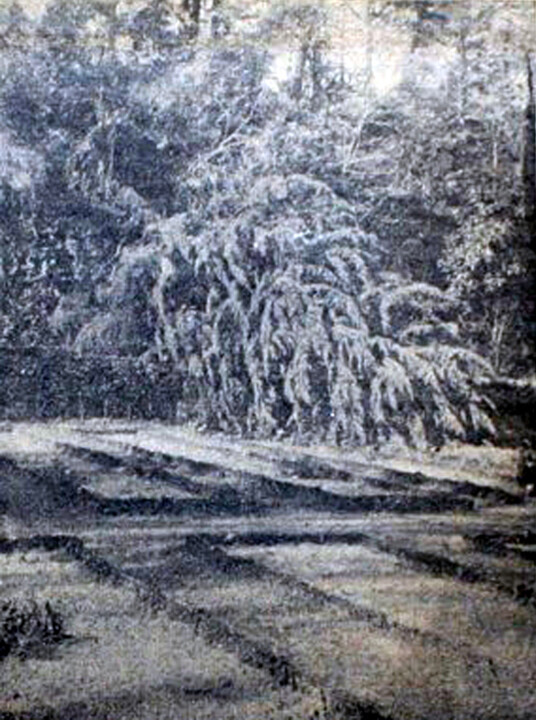 DC. Ciclone 4a.jpg