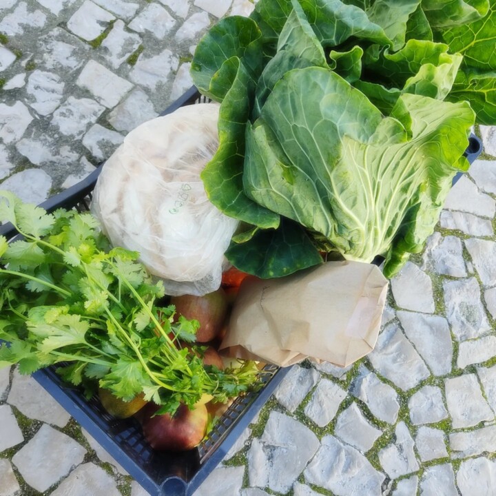 412089110_742093054614774_2447019527492095435_n.jp