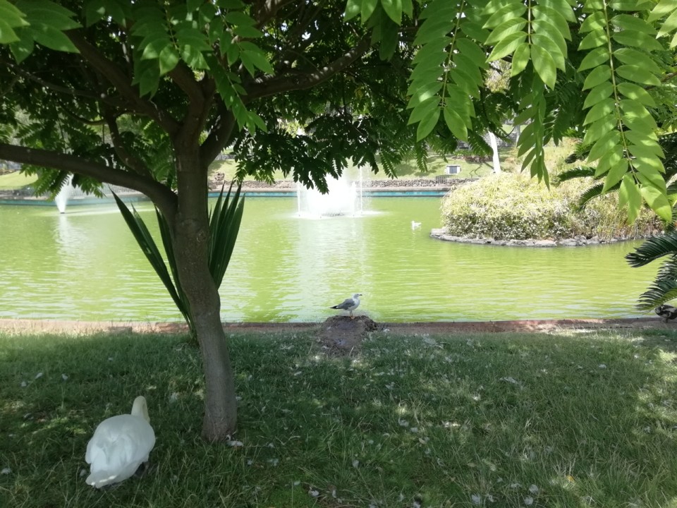 IMG_20200719_120620.jpg IMG_20200719_120620.jpg