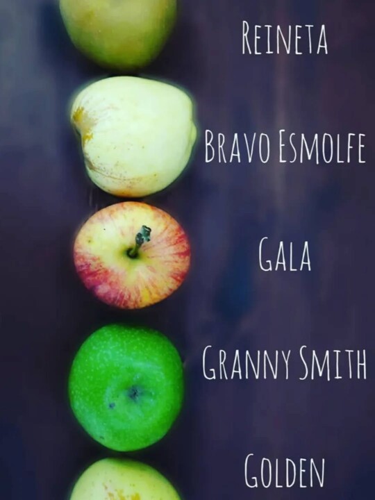 581391380_18512377531066958_4524750228815876716_n.