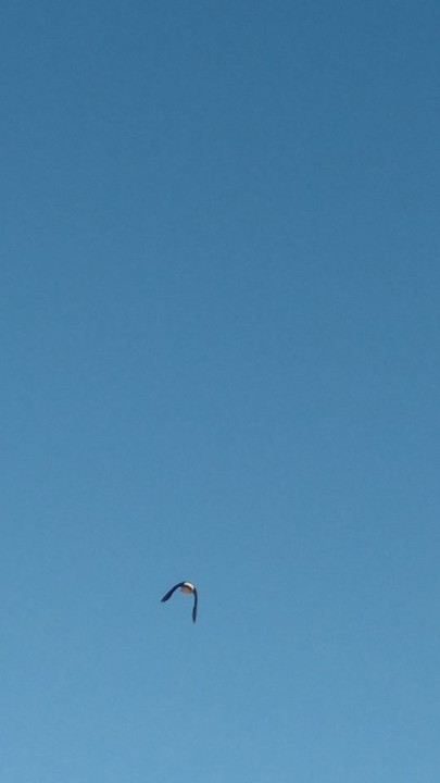 21766708_1685996818090565_4465450614025672937_n.jp