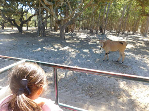 DSCN4858.JPG DSCN4858.JPG