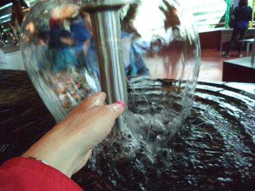 DSC00960.JPG DSC00960.JPG