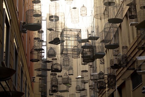 australia-sydney-angel-place-birdcages.jpg australia-sydney-angel-place-birdcages.jpg