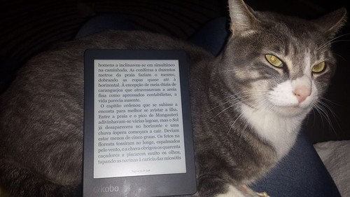 17098224_1779631465396135_29942576663032086_n.jpg 17098224_1779631465396135_29942576663032086_n.jpg