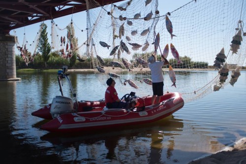 21766500_1698915360120997_5813367866276730027_n - 