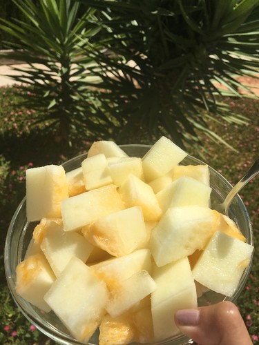 IMG_7742.JPG IMG_7742.JPG