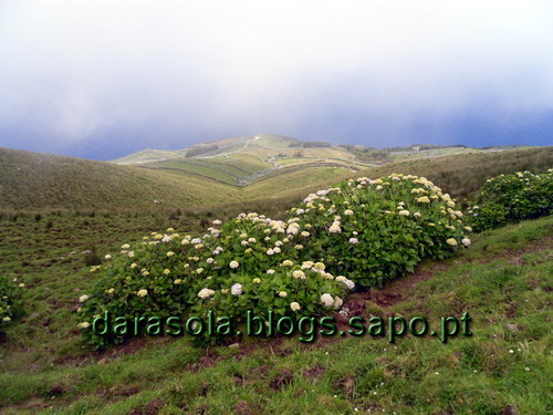 azores_corvo_caldeirao_20.JPG azores_corvo_caldeirao_20.JPG