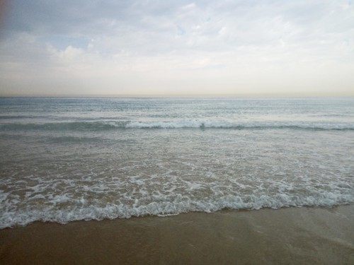 IMG_20180827_111057.jpg IMG_20180827_111057.jpg