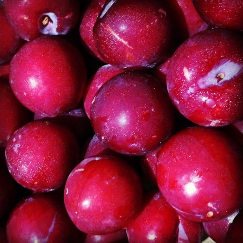 35646872_1118162038323556_2477457717539635200_n.jp 35646872_1118162038323556_2477457717539635200_n.jp