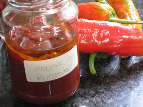 IMG_3833.JPG IMG_3833.JPG