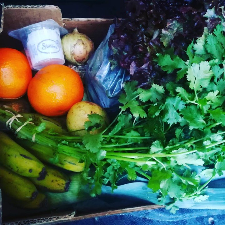 57550604_1353472874792470_8123703462383845376_n.jp