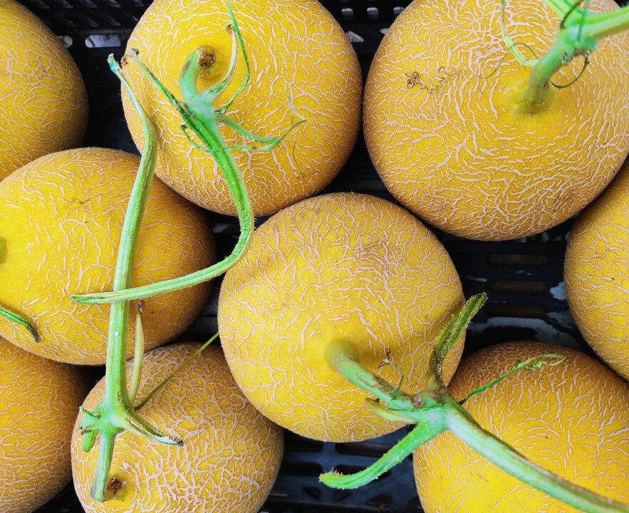 496783310_18477106876066958_2527994570478531694_n.