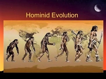 hominid-evolution-1-638.jpg